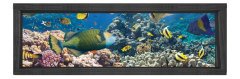 Denizaltı ve Balıklar Tablosu Siyah Ahşap Çerçeve - 200x70