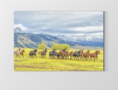 Koşan At Sürüsü Tablosu Çerçevesiz - 100x200