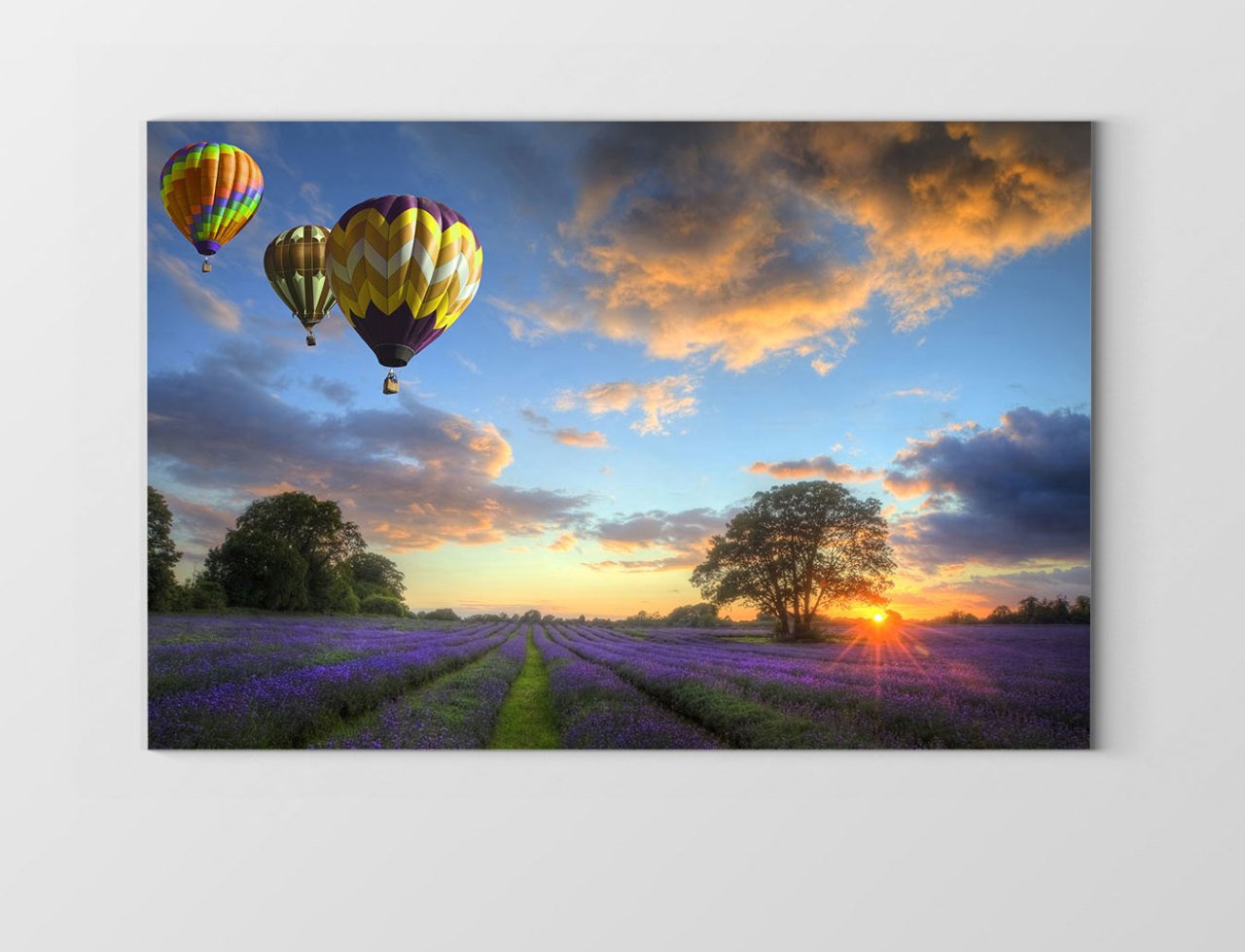 Uçan Balon Ve Lavanta Manzarası Tablosu Çerçevesiz - 40x60