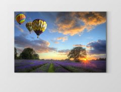 Uçan Balon Ve Lavanta Manzarası Tablosu Çerçevesiz - 40x60