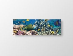 Denizaltı ve Balıklar Tablosu Çerçevesiz - 120x40