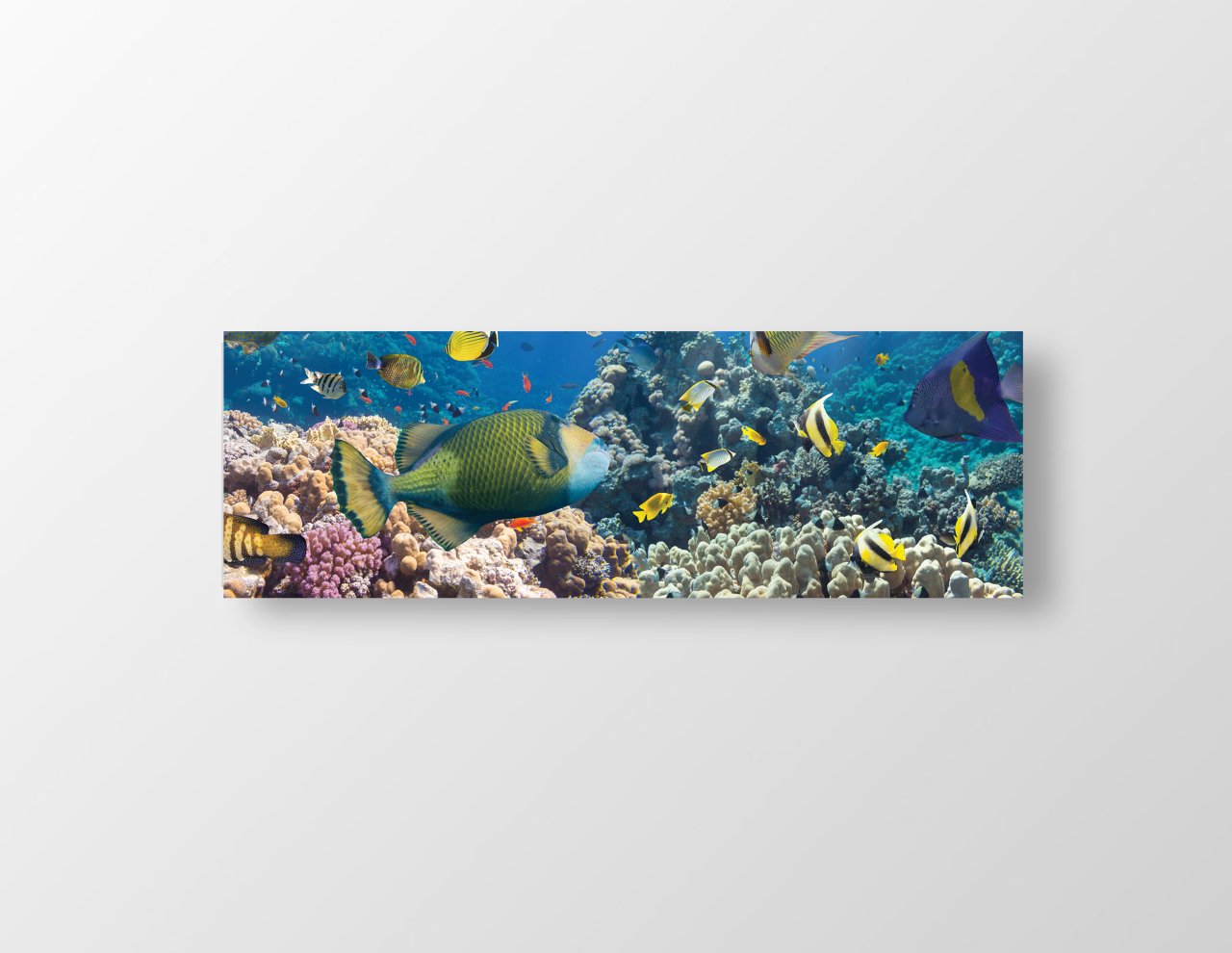 Denizaltı ve Balıklar Tablosu Çerçevesiz - 180x60