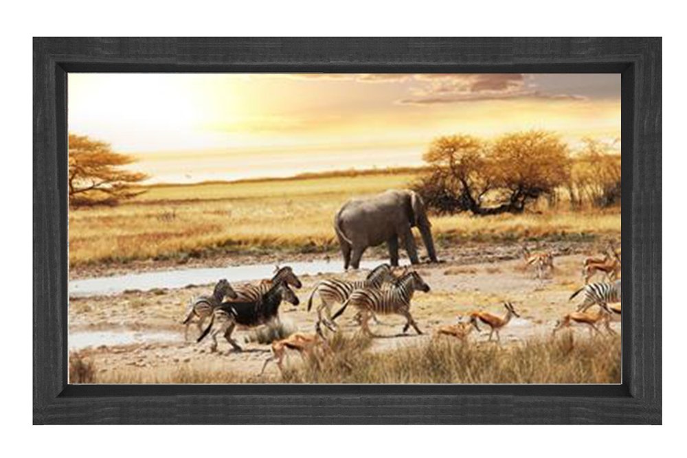 Zebra Ve Fil Tablosu Siyah Ahşap Çerçeve - 100x200