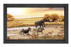 Zebra Ve Fil Tablosu Siyah Ahşap Çerçeve - 40x60