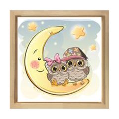 Sevimli Gece Kuşları Aydede Tablosu Naturel Ahşap Çerçeve - 70x70