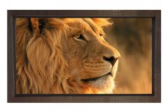 Aslan Tablosu Kahverengi Ahşap Çerçeve - 45x30