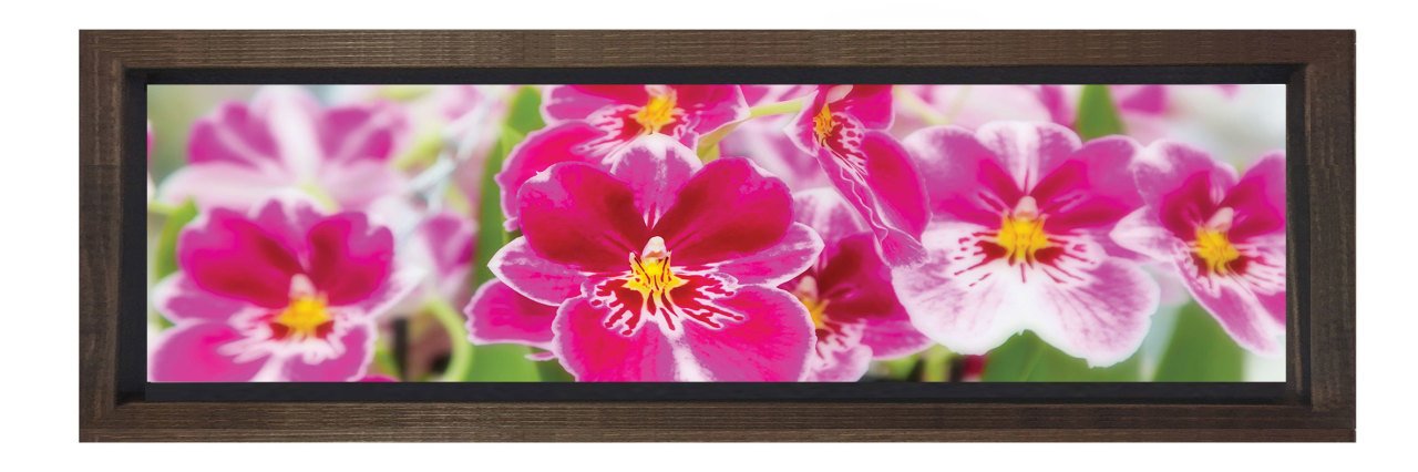 Pembe Çiçekler Tablosu Kahverengi Ahşap Çerçeve - 90x30