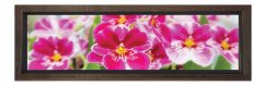 Pembe Çiçekler Tablosu Kahverengi Ahşap Çerçeve - 90x30