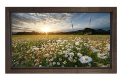 Papatyalar Ve Gökyüzü Manzara Tablosu Kahverengi Ahşap - 50x90