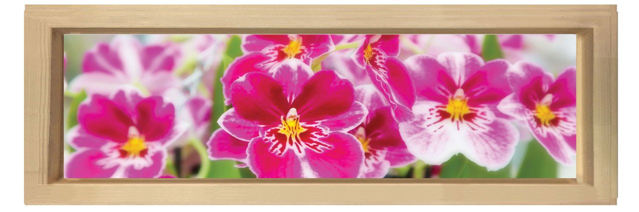 Pembe Çiçekler Tablosu Naturel Ahşap Çerçeve - 120x40