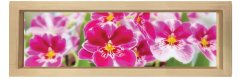 Pembe Çiçekler Tablosu Naturel Ahşap Çerçeve - 150x50