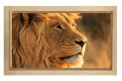 Aslan Tablosu Naturel Ahşap Çerçeve - 45x30