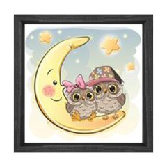 Sevimli Gece Kuşları Aydede Tablosu Siyah Ahşap Çerçeve - 80x80