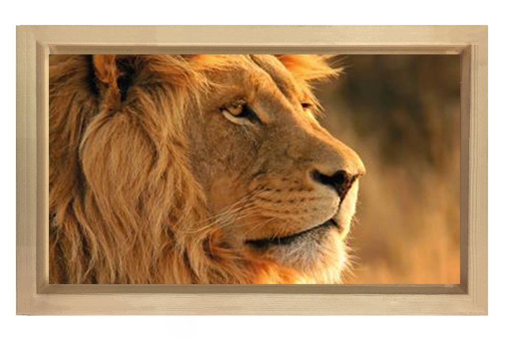 Aslan Tablosu Naturel Ahşap Çerçeve - 70x100