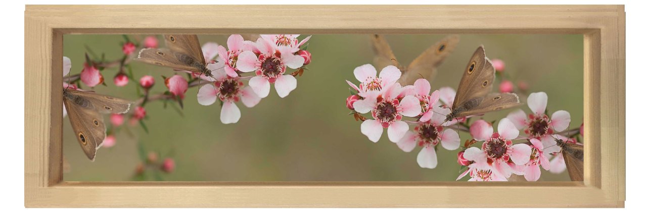 Pembe Çiçekli Asma Tablosu Naturel Ahşap Çerçeve - 180x60