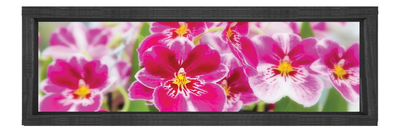 Pembe Çiçekler Tablosu Siyah Ahşap Çerçeve - 180x60