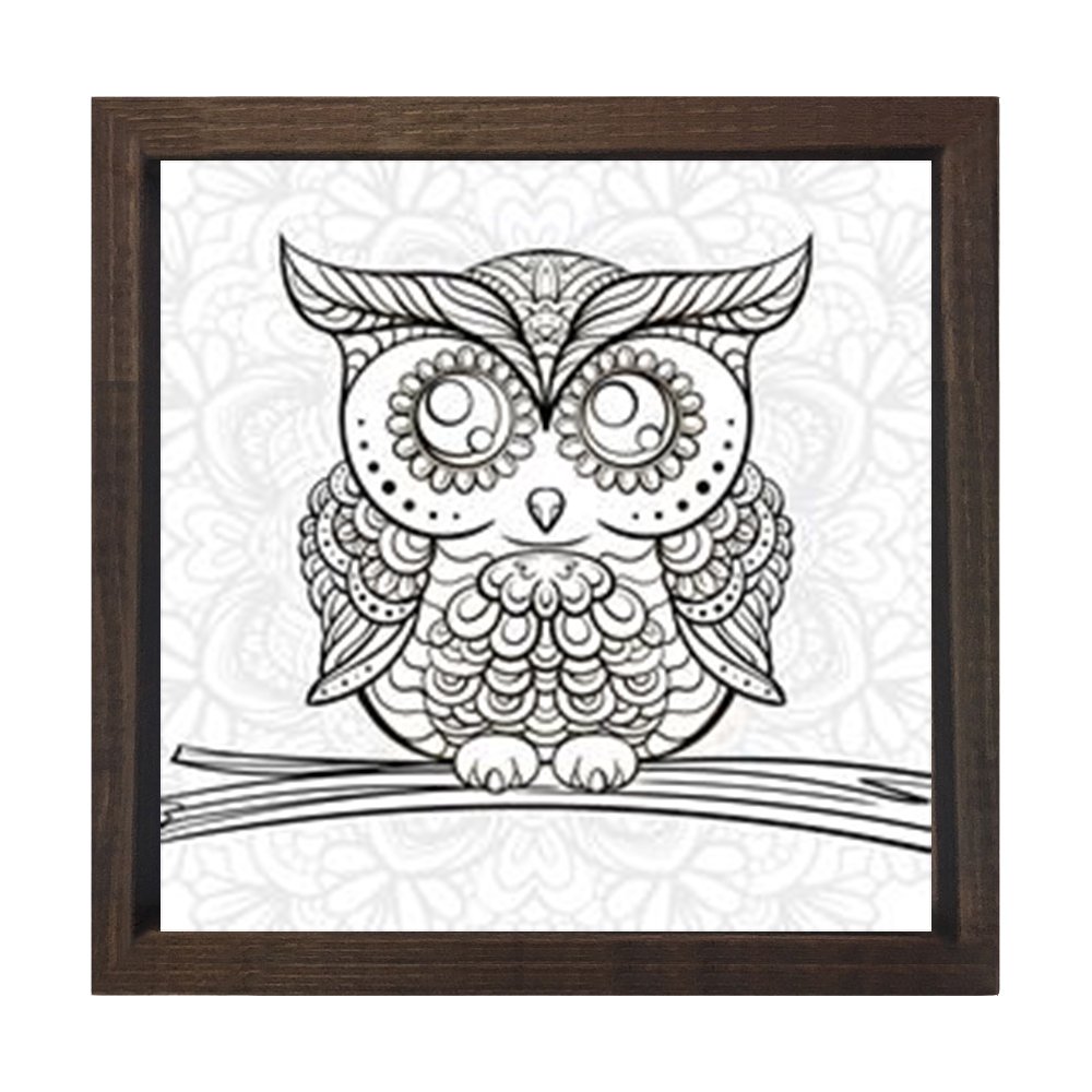 Baykuş Boyama Tablo Tablosu Kahverengi Ahşap Çerçeve - 60x60