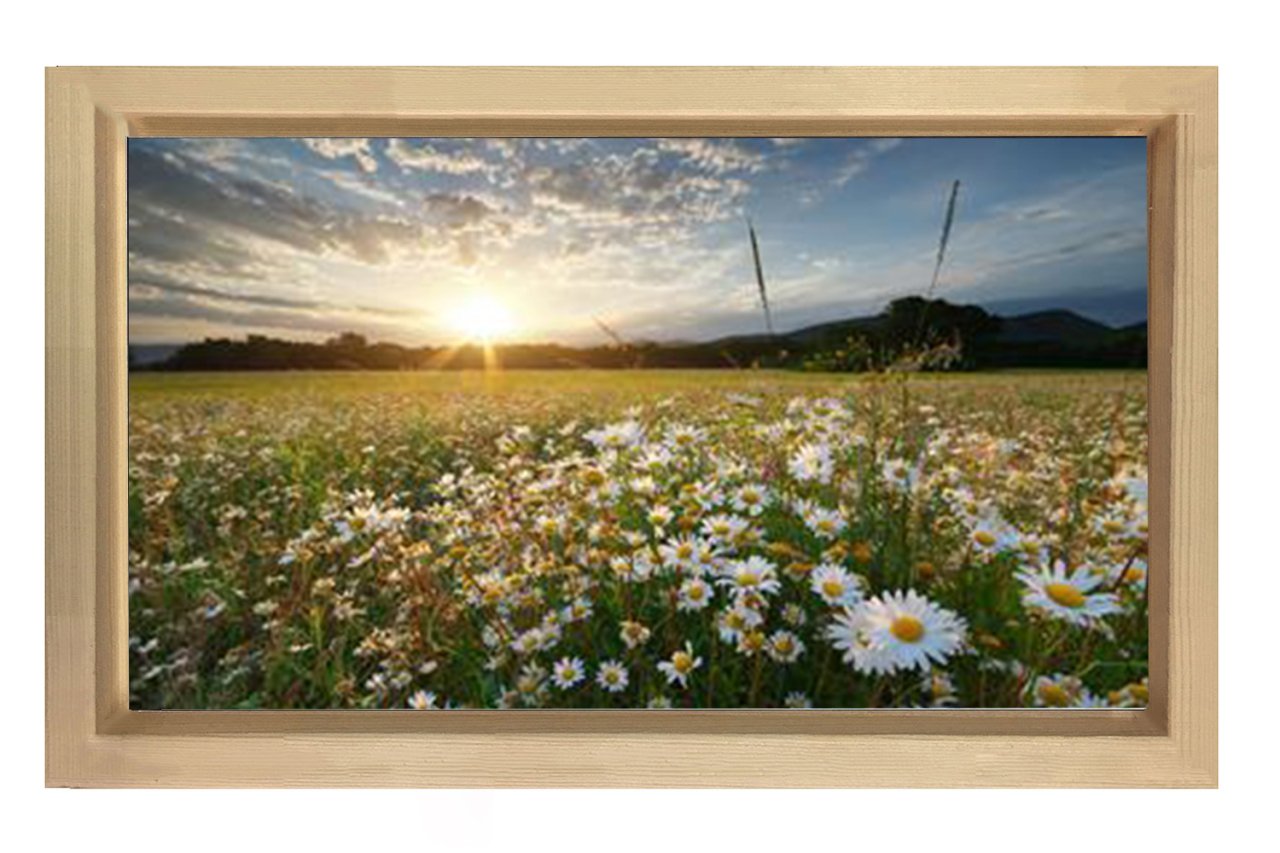 Papatyalar Ve Gökyüzü Manzara Tablosu Naturel Ahşap - 70x100