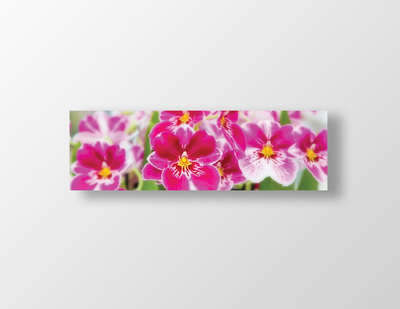 Pembe Çiçekler Tablosu Çerçevesiz - 180x60