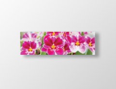 Pembe Çiçekler Tablosu Çerçevesiz - 180x60