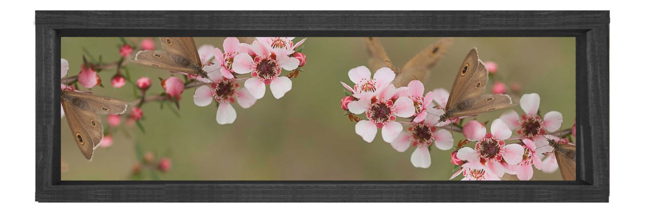 Pembe Çiçekli Asma Tablosu Siyah Ahşap Çerçeve - 90x30