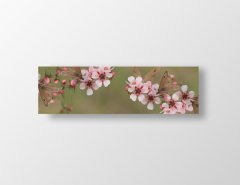 Pembe Çiçekli Asma Tablosu Çerçevesiz - 180x60