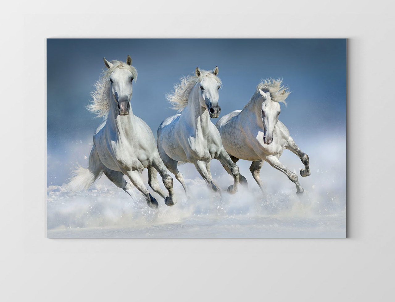 Koşan Beyaz Atlar Tablosu Çerçevesiz - 50x70