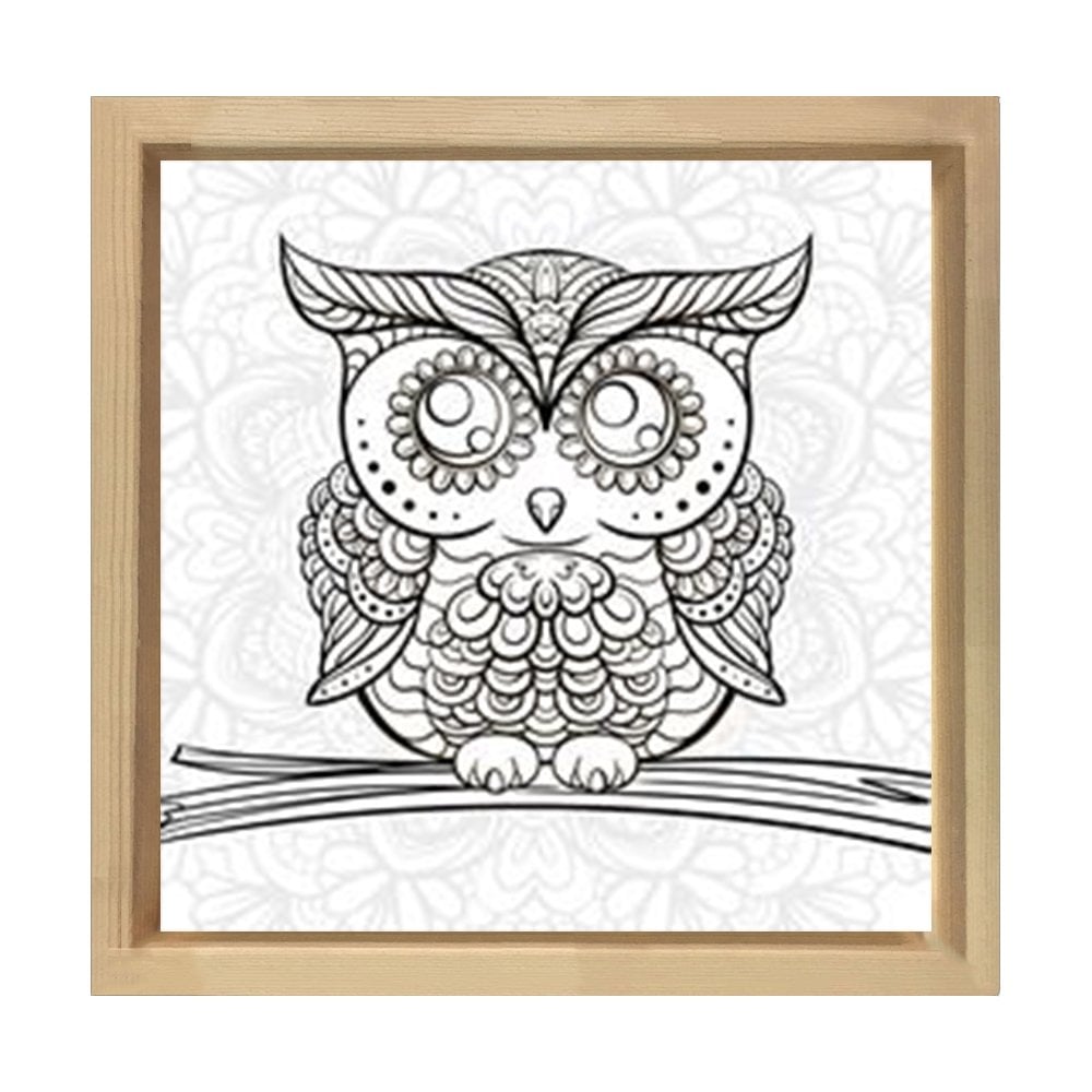 Baykuş Boyama Tablo Tablosu Naturel Ahşap Çerçeve - 80x80