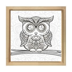 Baykuş Boyama Tablo Tablosu Naturel Ahşap Çerçeve - 80x80