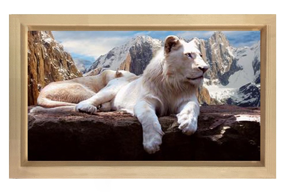 Kar Aslanı Tablosu Naturel Ahşap Çerçeve - 45x30
