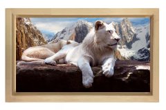 Kar Aslanı Tablosu Naturel Ahşap Çerçeve - 45x30