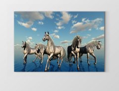 Suda Yürüyen Atlar Tablosu Çerçevesiz - 40x60