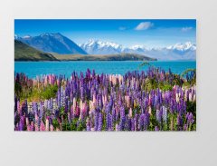 Deniz ve Çiçekler Tablosu Çerçevesiz - 45x30