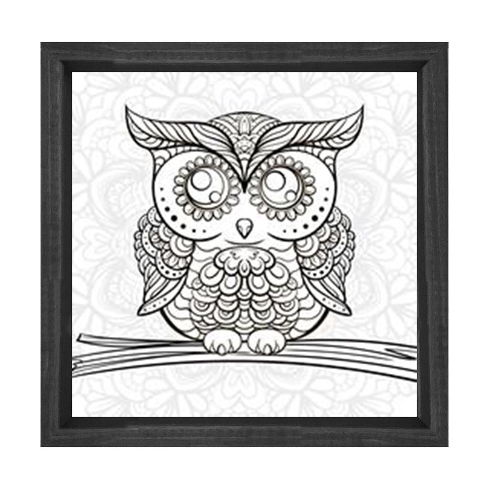 Baykuş Boyama Tablo Tablosu Siyah Ahşap Çerçeve - 50x50