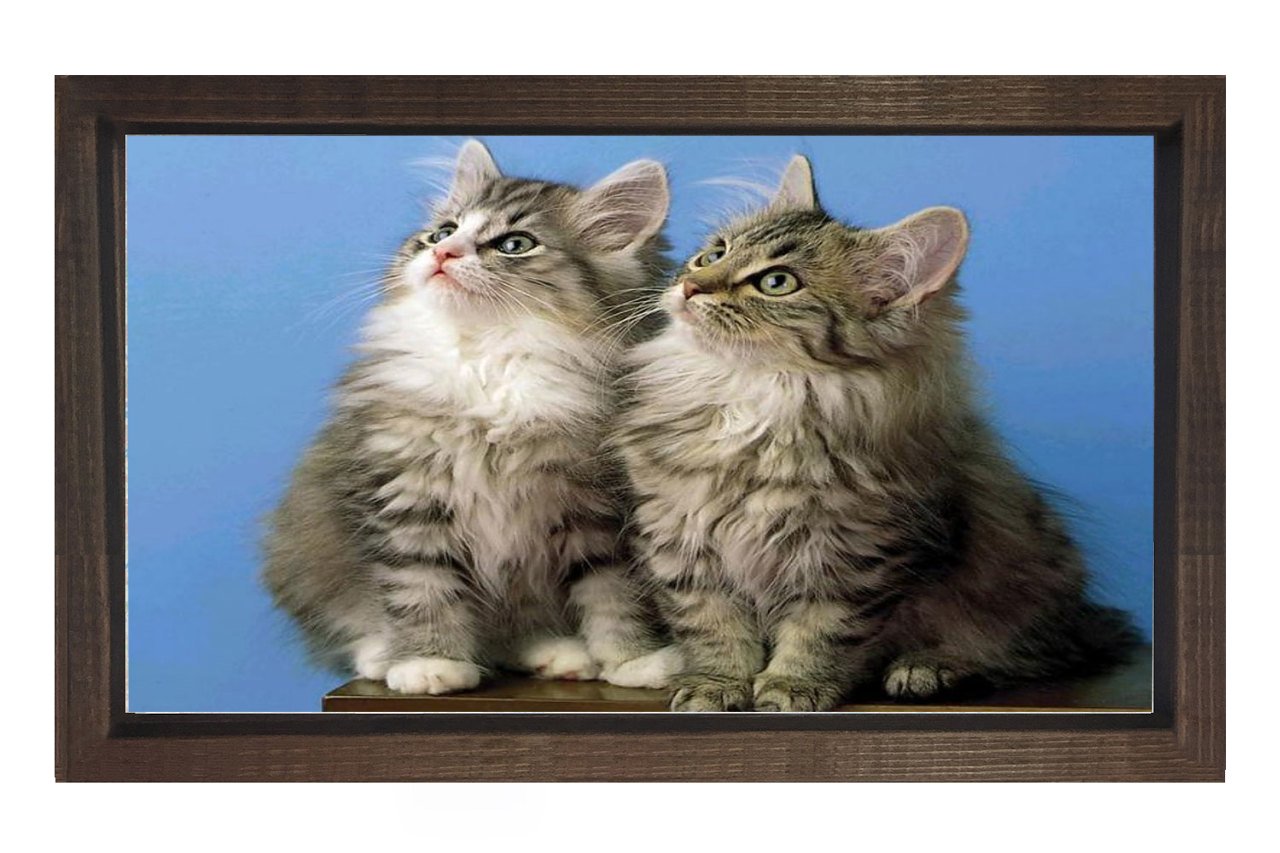 Kediler Tablosu Kahverengi Ahşap Çerçeve - 100x150