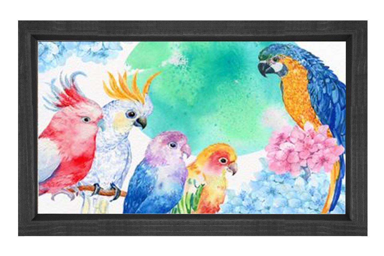 Renkli Papağalar Reprödiksiyon Tablosu Siyah Ahşap Çerçeve - 100x150