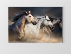 Vahşi Atlar Tablosu Çerçevesiz - 50x70
