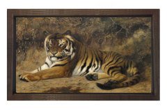 Kaplan Kahverengi Ahşap Çerçeve - 40x60