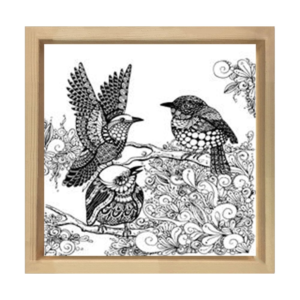Kuşlar Boyama Tablo Tablosu Naturel Ahşap Çerçeve - 30x30