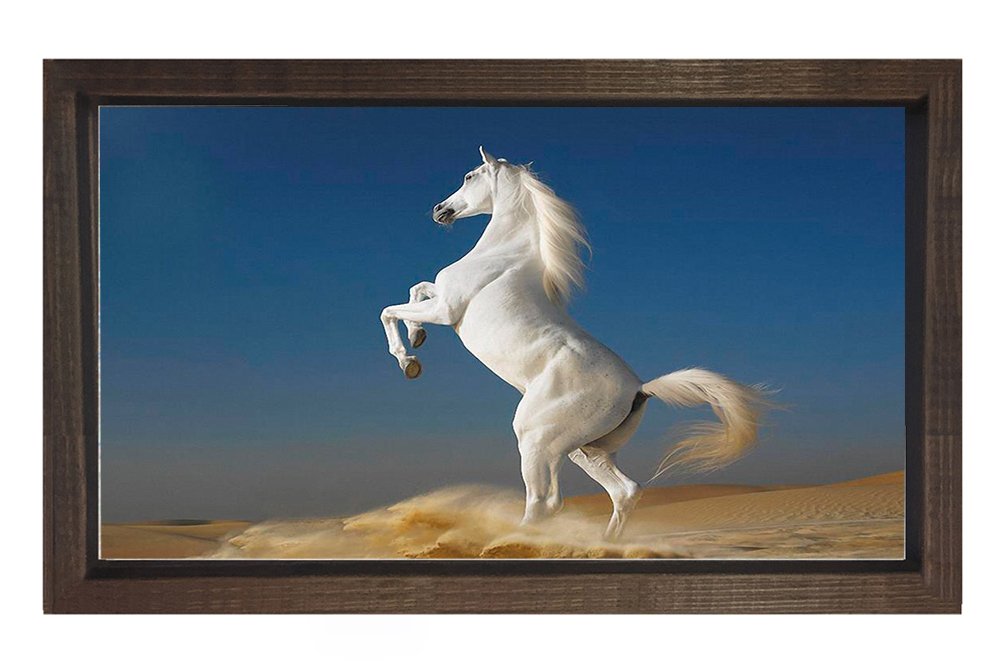 Şaha Kalkan Beyaz At Tablosu Kahverengi Ahşap Çerçeve - 45x30
