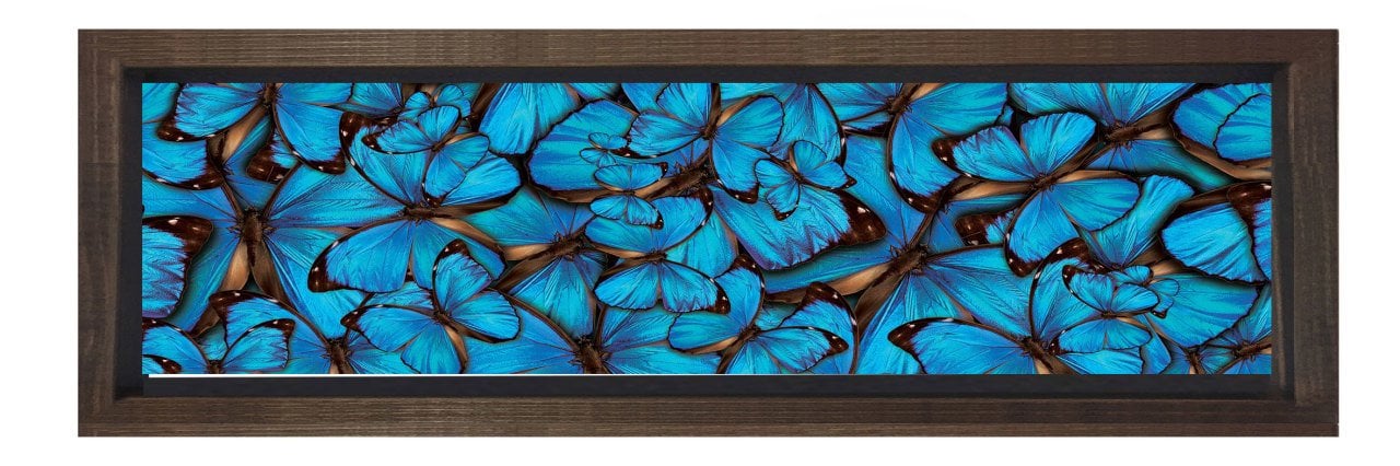 Mavi Kelebekler Tablosu Kahverengi Ahşap Çerçeve - 180x60