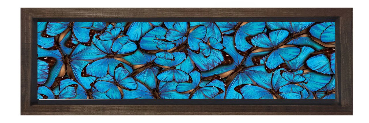 Mavi Kelebekler Tablosu Kahverengi Ahşap Çerçeve - 200x70