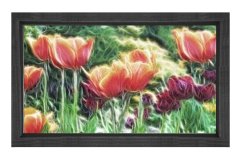 Kırmız Gül Çiçekleri Tablosu Siyah Ahşap Çerçeve - 70x100