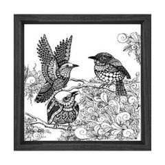 Kuşlar Boyama Tablo Tablosu Siyah Ahşap Çerçeve - 30x30