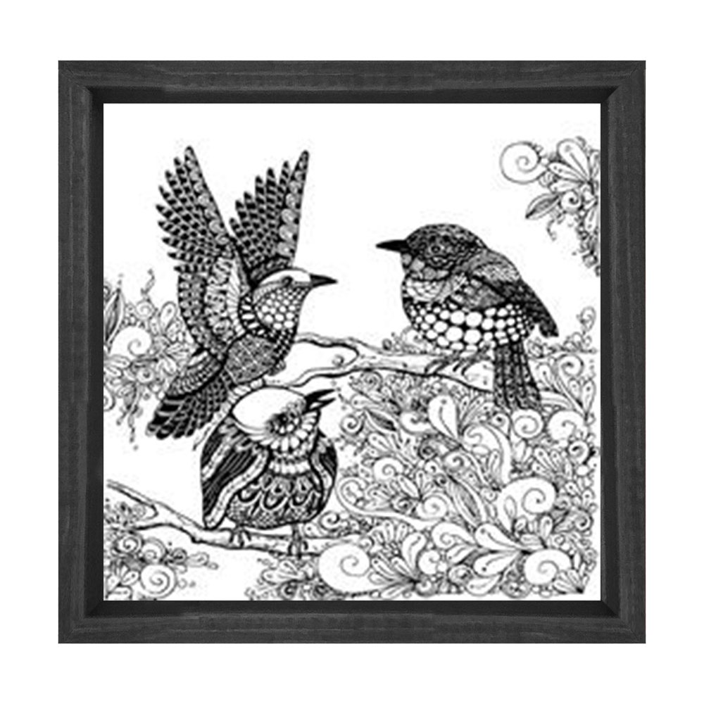 Kuşlar Boyama Tablo Tablosu Siyah Ahşap Çerçeve - 50x50