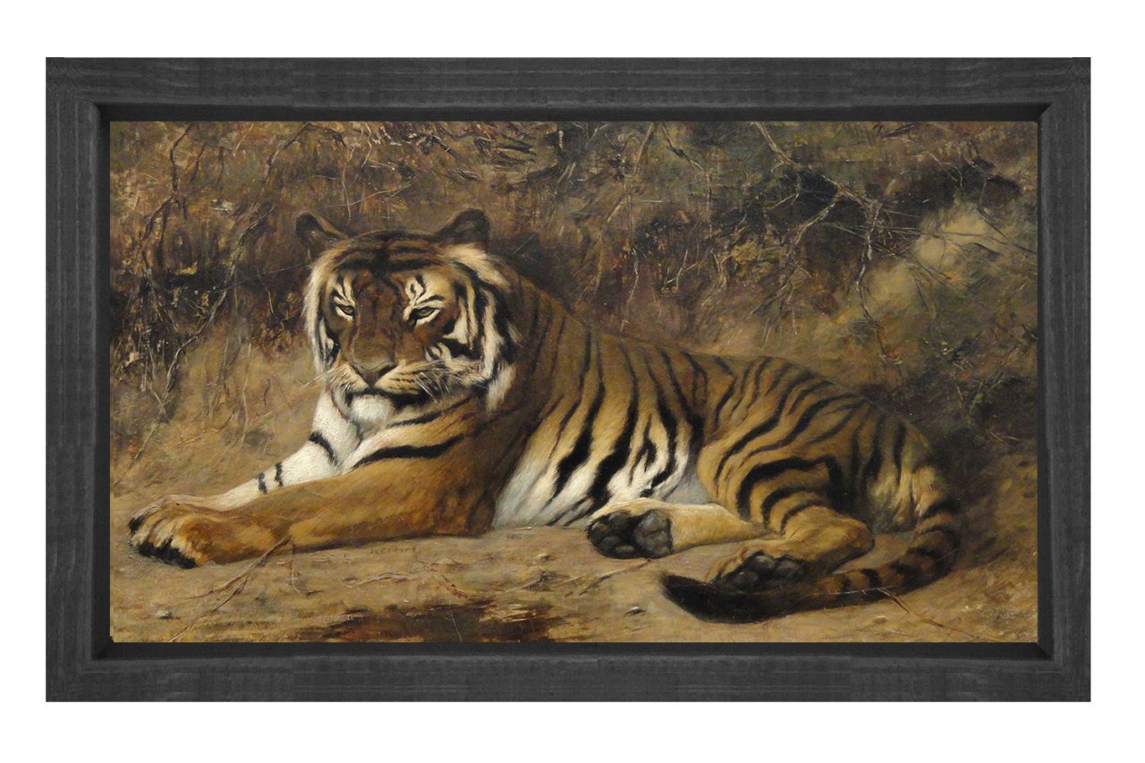 Kaplan Siyah Ahşap Çerçeve - 45x30
