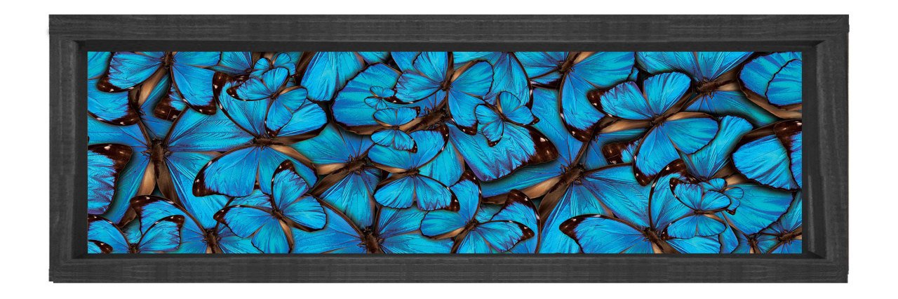 Mavi Kelebekler Tablosu Siyah Ahşap Çerçeve - 120x40