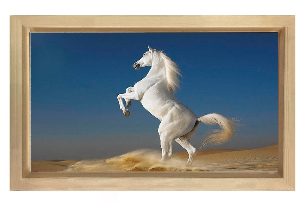 Şaha Kalkan Beyaz At Tablosu Naturel Ahşap Çerçeve - 50x90