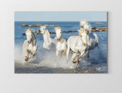 Suda Koşan Beyaz Atlar Tablosu Çerçevesiz - 40x60