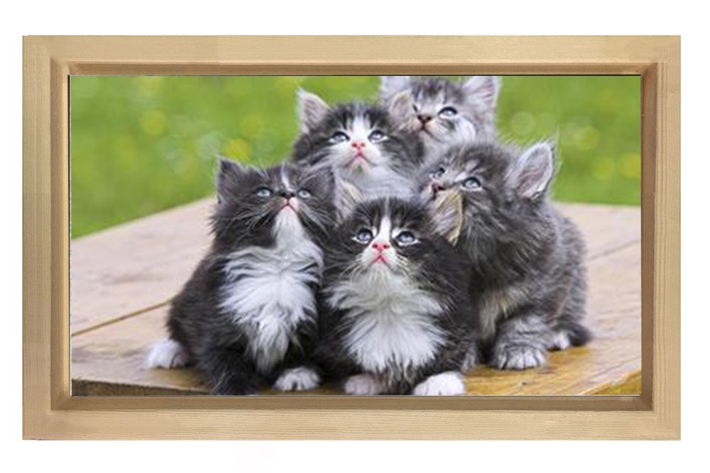 Kedi Ailesi Tablosu Naturel Ahşap Çerçeve - 70x100